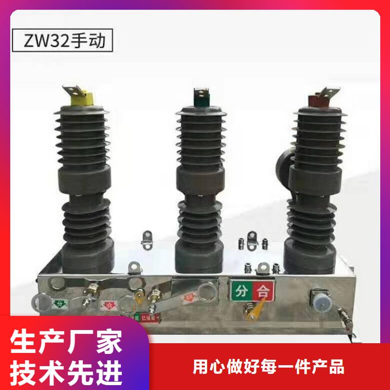 品牌【羿振电气】户外高压断路器ZW32-12FG/T630-20