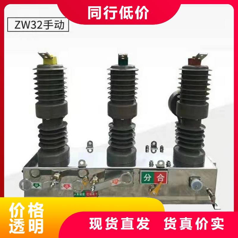 品牌：【羿振电气】【永磁】柱上断路器ZW32-12GM/T630-20实力厂家