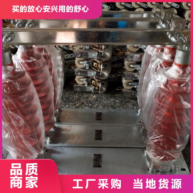 品牌【羿振电气】HGW9-15/630A 隔离刀闸 生产厂家