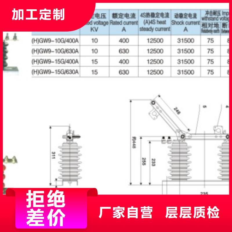 【羿振电气】高压隔离开关HGW9-12W/630本地生产厂家