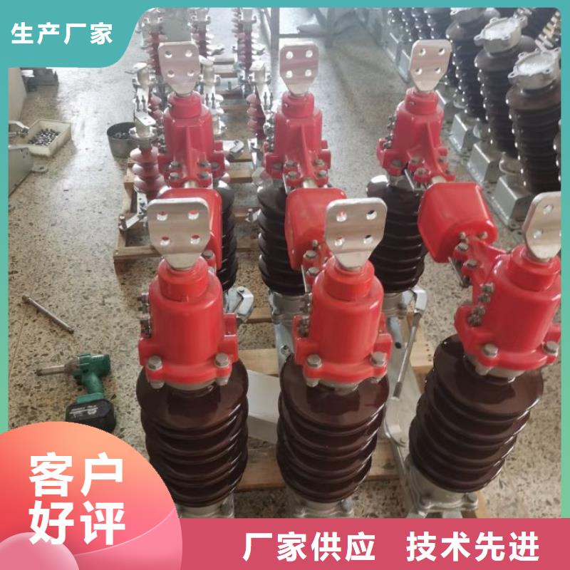 【上海】高压隔离开关GW5-40.5D/630A  四级防污、侧装、单接地，手动