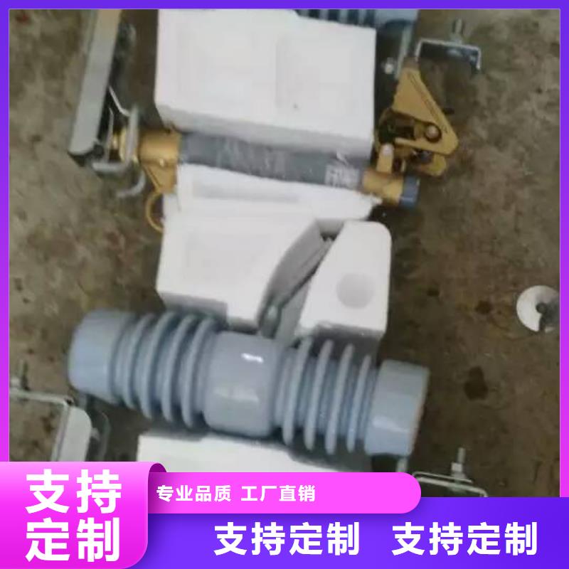 【广州】氧化锌避雷器HY10CX-96/280K 厂家供应 浙江羿振电气有限公司