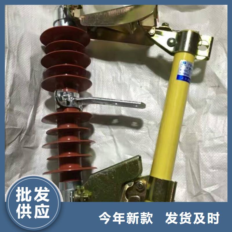 【湘西】氧化锌避雷器HY5WR2-17/45 欢迎订购 浙江羿振电气有限公司