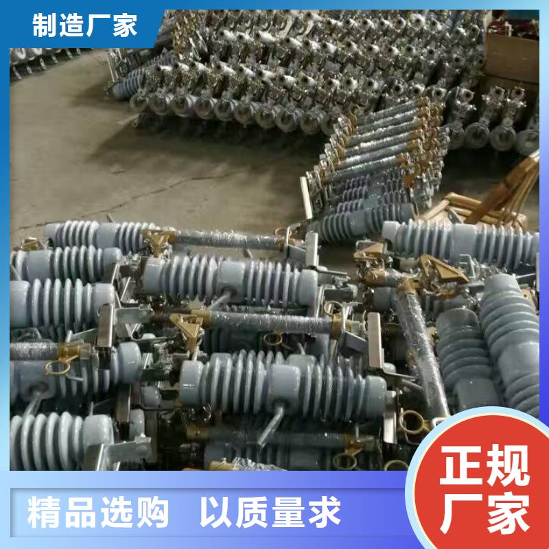 【阿拉善】氧化锌避雷器Y5W1-96/250GW 欢迎订购 浙江羿振电气有限公司
