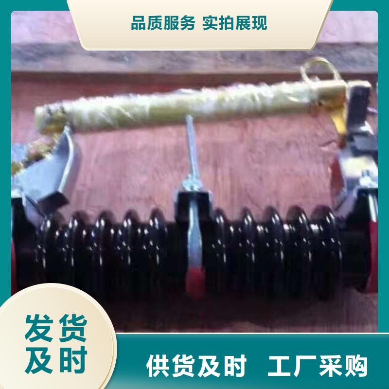 【芜湖】氧化锌避雷器YH10W1-96/232 生产厂家 浙江羿振电气有限公司