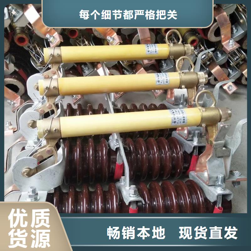【天津】氧化锌避雷器Y10W-300/727W 厂家价格 浙江羿振电气有限公司