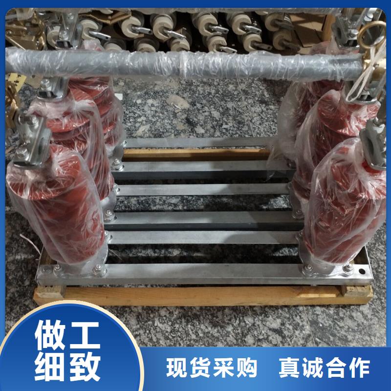 【三亚】氧化锌避雷器YH5W5-54/125 工厂直销 浙江羿振电气有限公司