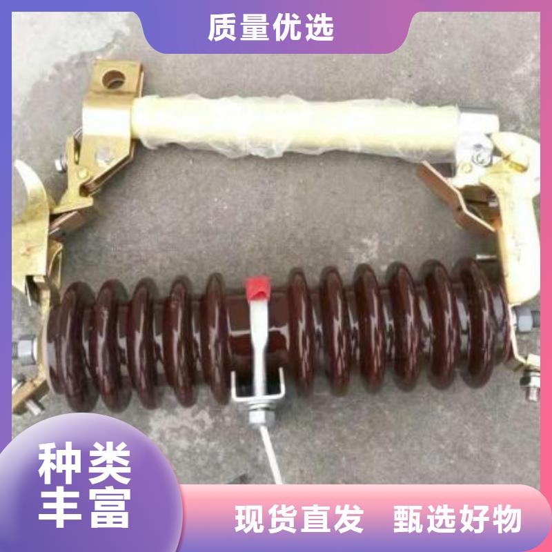 【甘孜】氧化锌避雷器YH2.5WD-13.5/31 价格推荐 浙江羿振电气有限公司