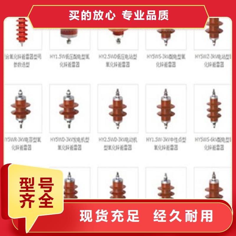 氧化锌避雷器YH10W1-200/496W【上海羿振电力设备有限公司】