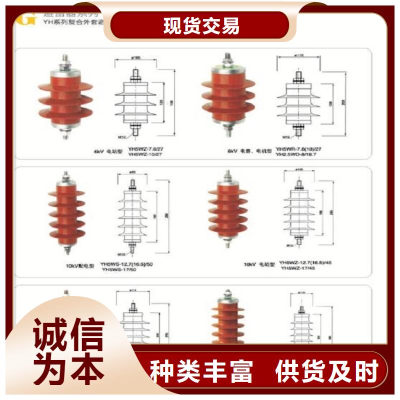 避雷器YH10WX5-96/250【上海羿振电力设备有限公司】
