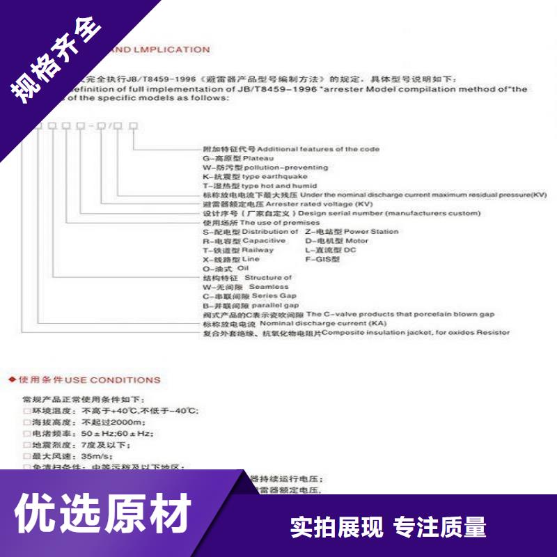 金属氧化物避雷器Y10W-102/266 浙江羿振电气有限公司