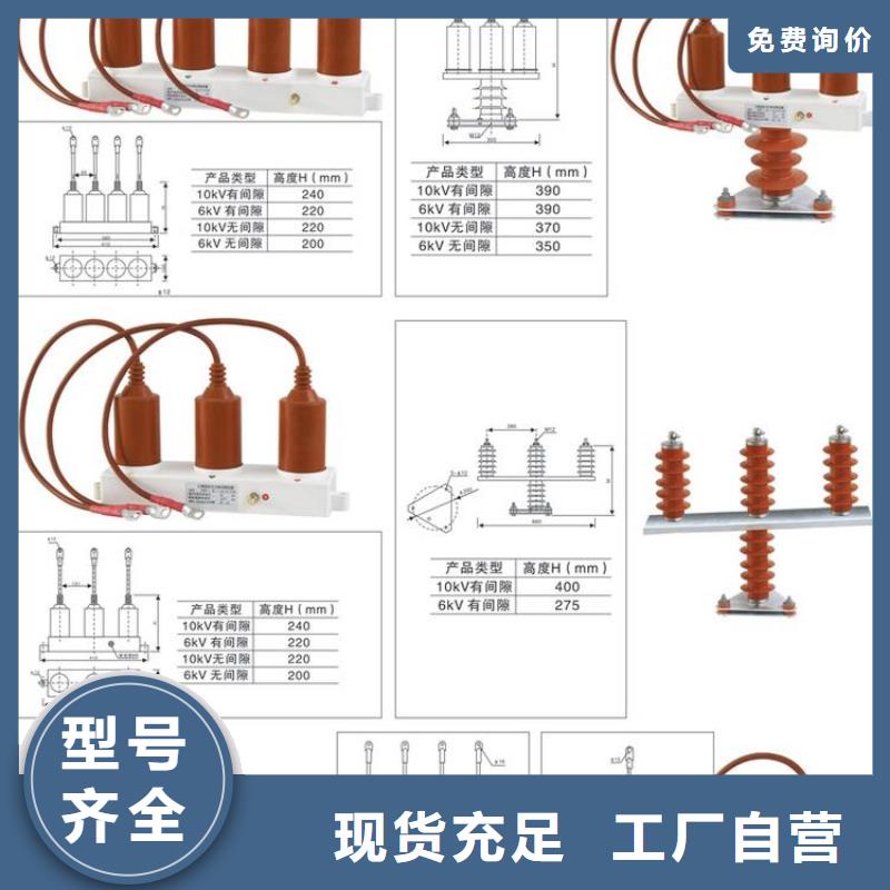 【】保护器(组合式避雷器)TBP-Y-A/6-T组合过电压保护器厂家案例