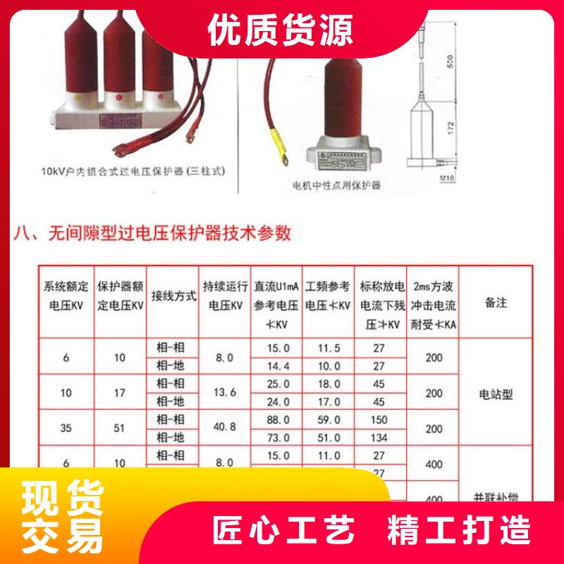 【】过电压保护器(组合式避雷器)BSTG-C-12.7F/131精选好货