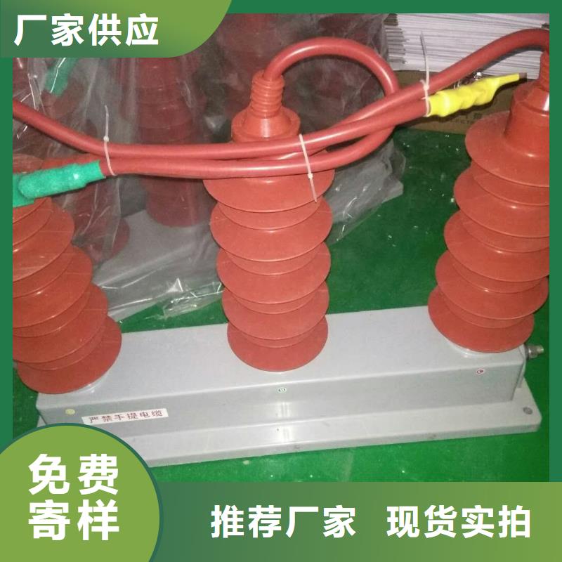 【宁夏】过电压保护器高压组合式避雷器BWKP-B-7.6/131