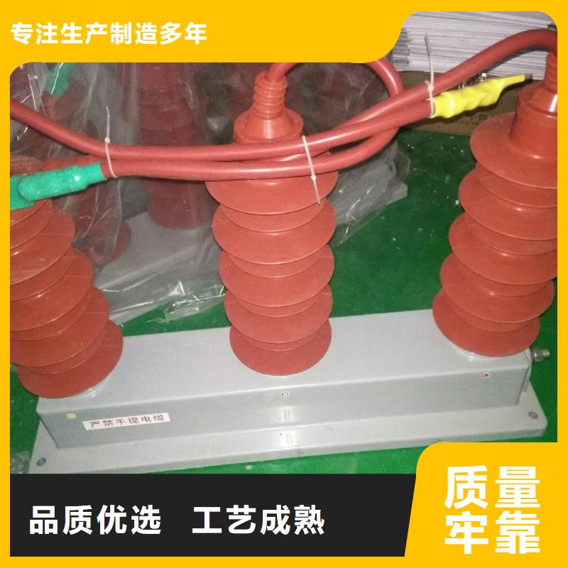 【济宁】TBP-Y-A/35-F组合过电压保护器