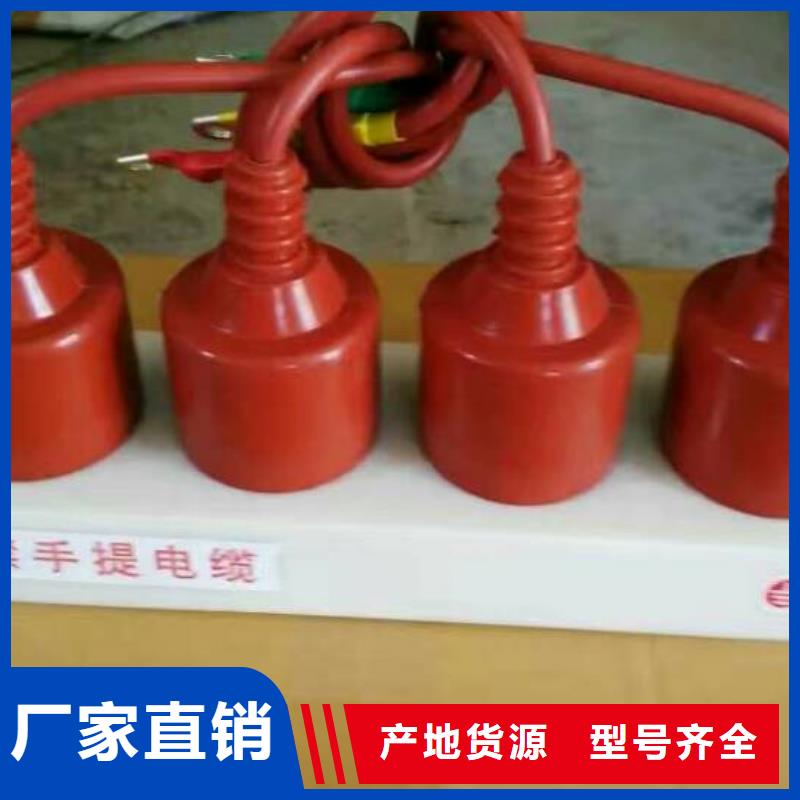 【阳江】过电压保护器(组合式避雷器)SYB-B-7.6KV/131-J