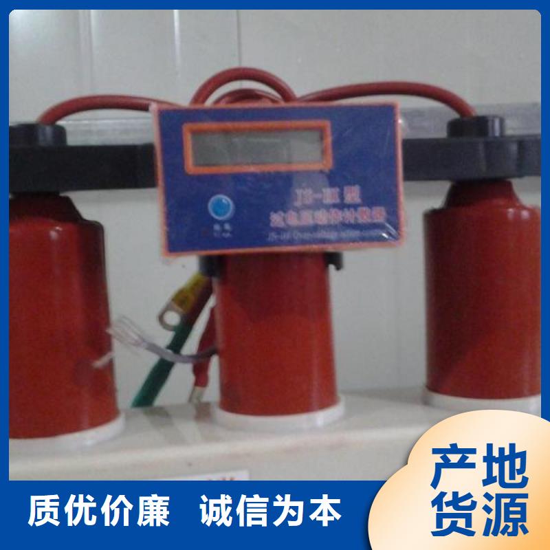 【郑州】过电压保护器TBP-C-42F/310