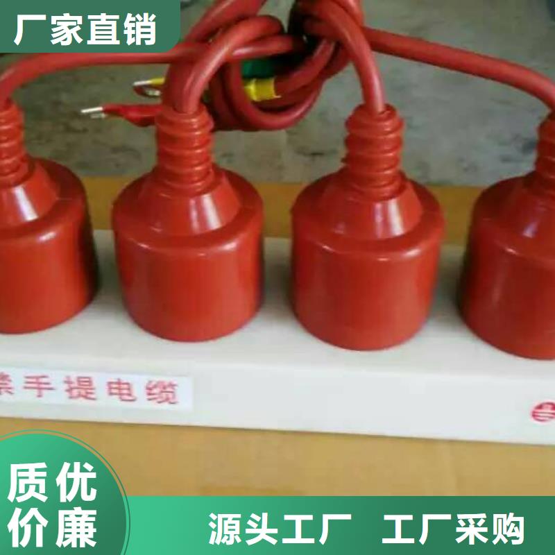 【江门】过电压保护器YH5WS-17/50*17/50