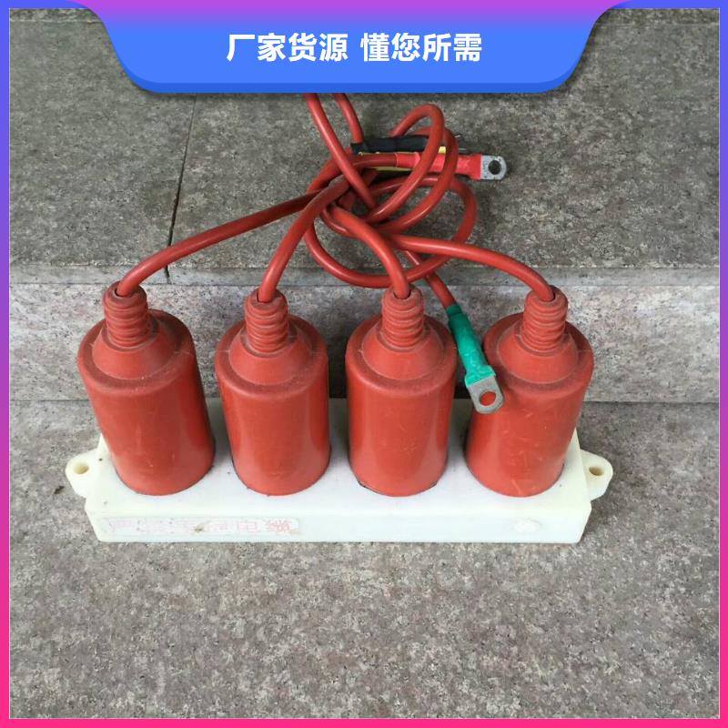 【景德镇】过电压保护器(组合式避雷器)TBP-C-12.7/150-J