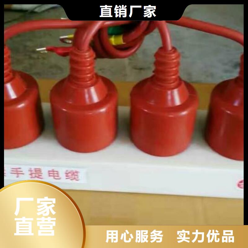 【】过电压保护器(组合式避雷器)BWKP-A-12.7/131J一周内发货