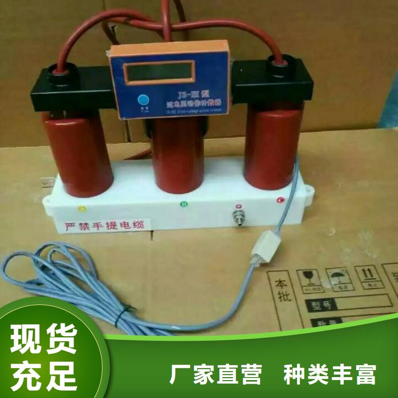 【扬州】过电压保护器RTB-Z-35KV/300