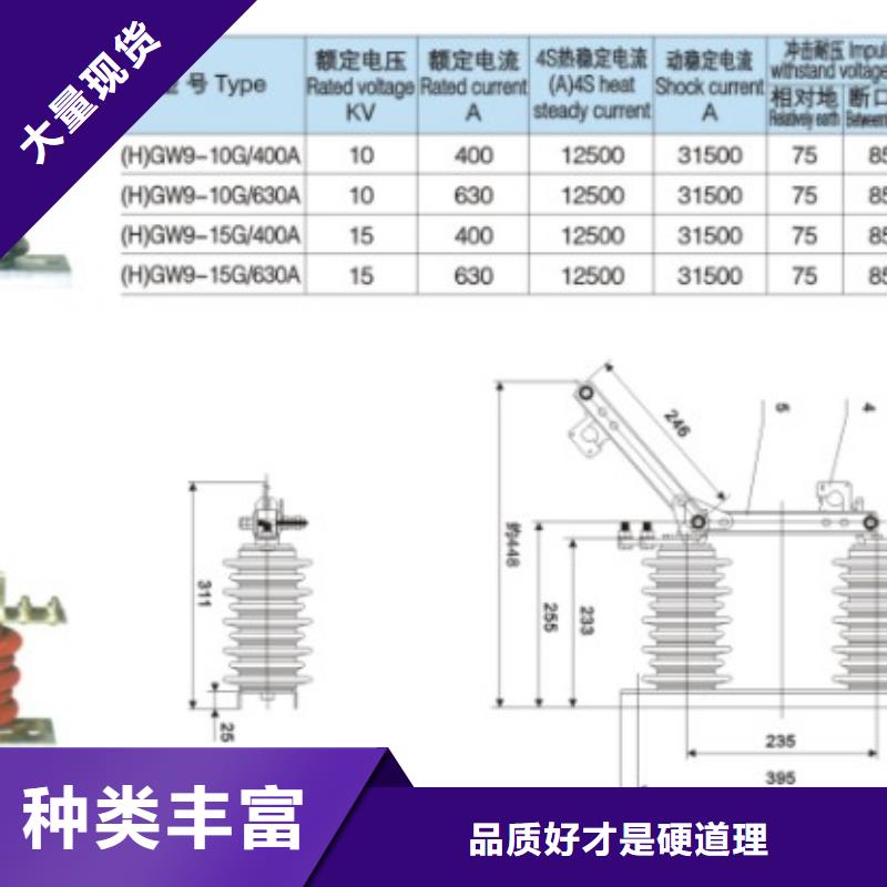 []10KV单级隔离开关HGW9-12G/1000A产品细节参数