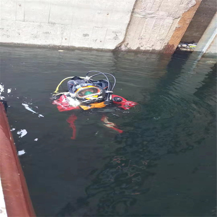 石嘴山市水下打捞手机 全市水下打捞救援队伍