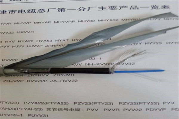 质量可靠的PTY23电缆厂家直销批发商当日价格