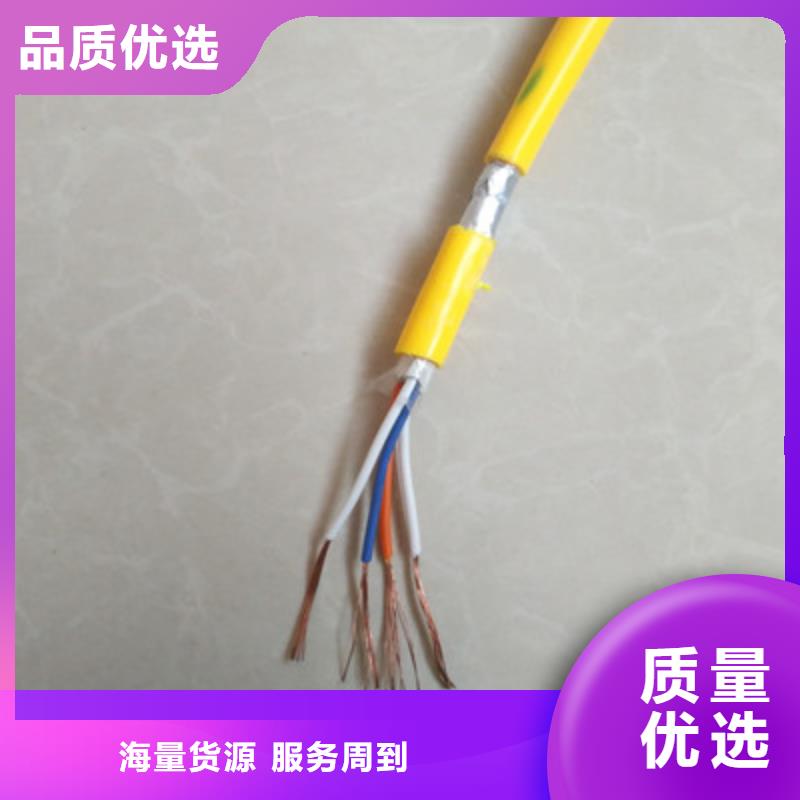 萍乡卖2X2X24AWG电缆的实力厂家
