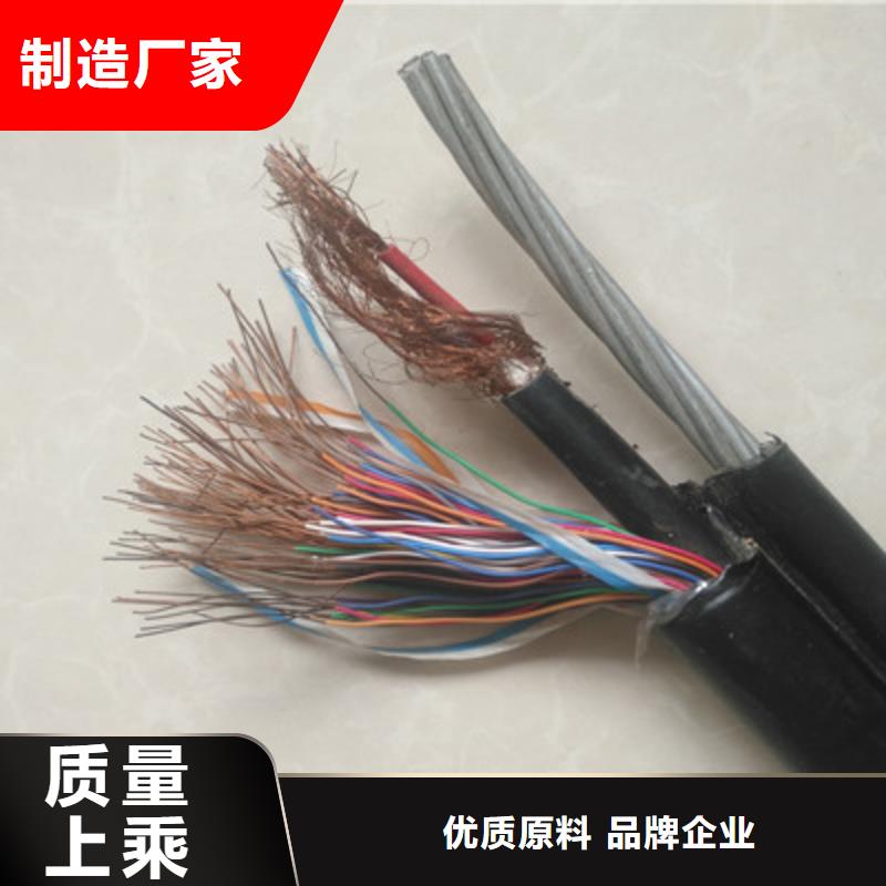 CC-LINK FANC-SB紫色通讯电缆长沙1X0.75