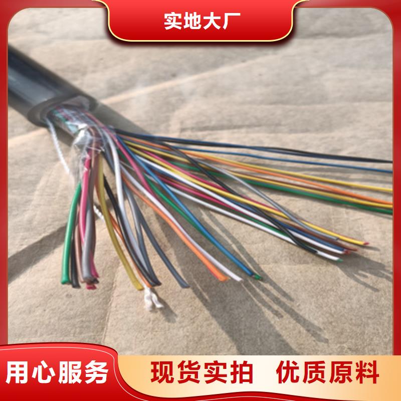 PROFIBUS通讯电缆定安县6对1.0精挑细选好货
