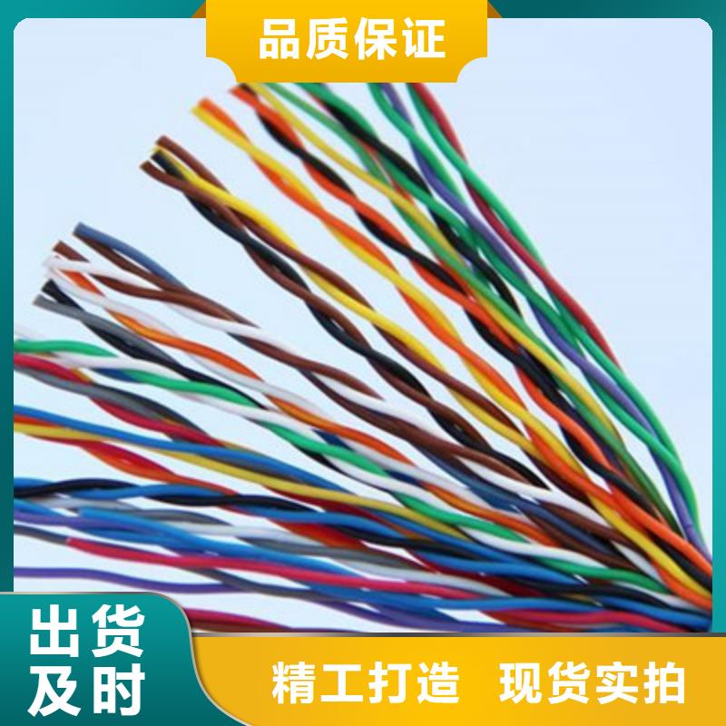 ZR-FB-HPVP阻燃通讯电缆生产厂家同城货源