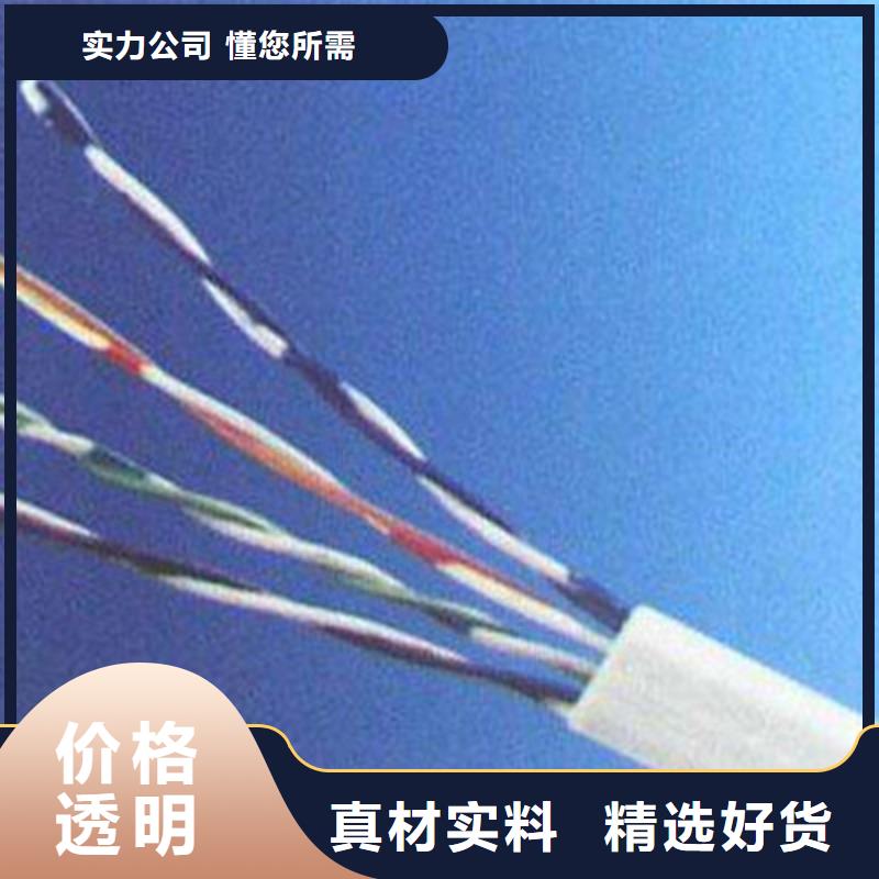新乡STP-110 3CX20AWG通讯电缆设计