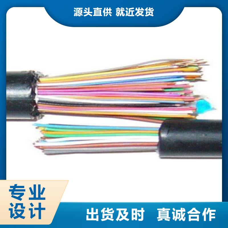 CAN-DW-RS485/92特种电缆优惠报价做工精细