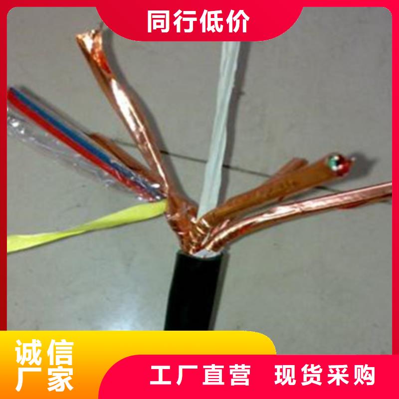 惠州耐火计算机电缆NH-DJYPVP 1X2X1.5