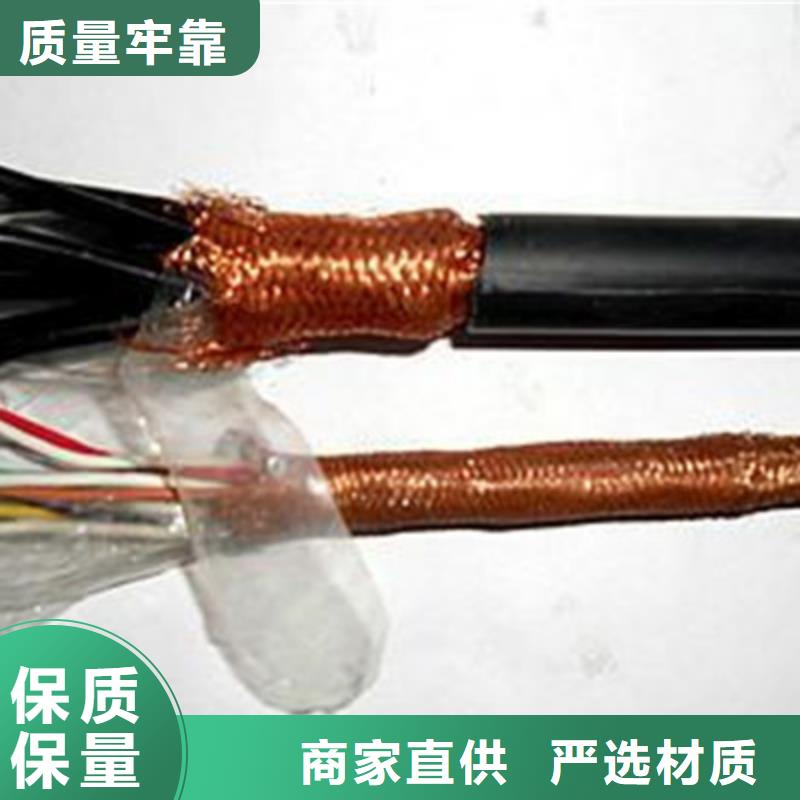 耐火计算机电缆NH-JYPVRP16X2X0.75严格把关质量放心
