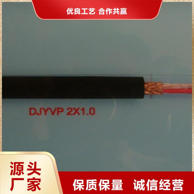 WDZ-DJYVP322低烟无卤计算机电缆4X2X1.5本地厂家