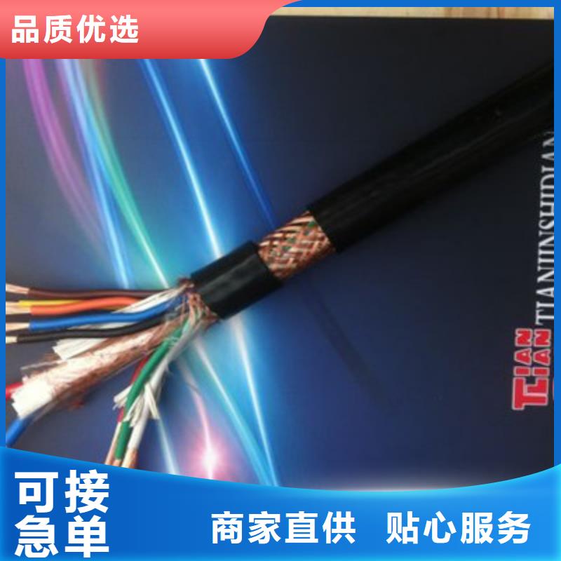 NH-DJYP2V2R耐火计算机电缆2X2X1.0精工细致打造