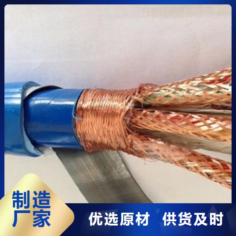 衢州DJYP2VR铠装计算机电缆1X2X0.75