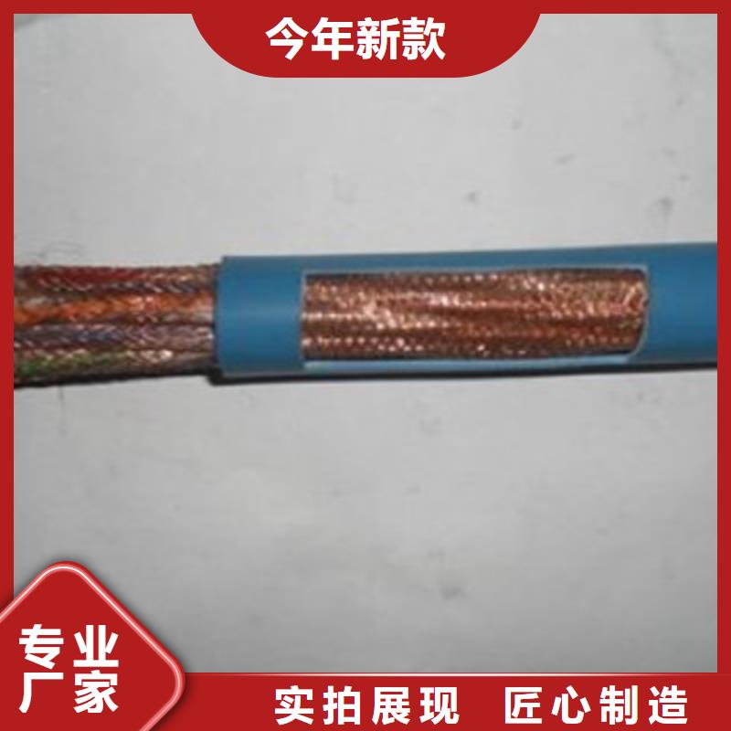 咸宁阻燃计算机电缆ZR-DJYP3VP3 14X2X1.5