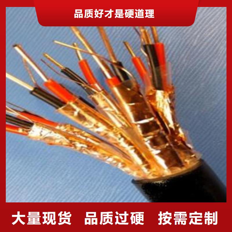 阻燃计算机电缆ZR-ZA-105厂家现货销售对质量负责
