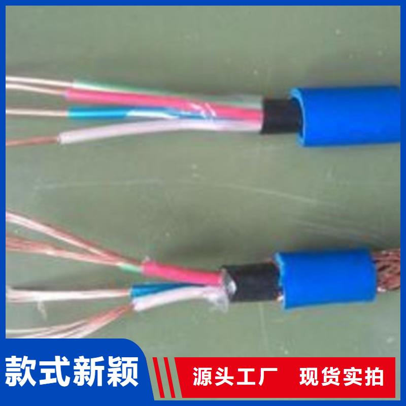 ZR-CHYVRP82钢丝编织电缆30X2X1.0产地源头好货