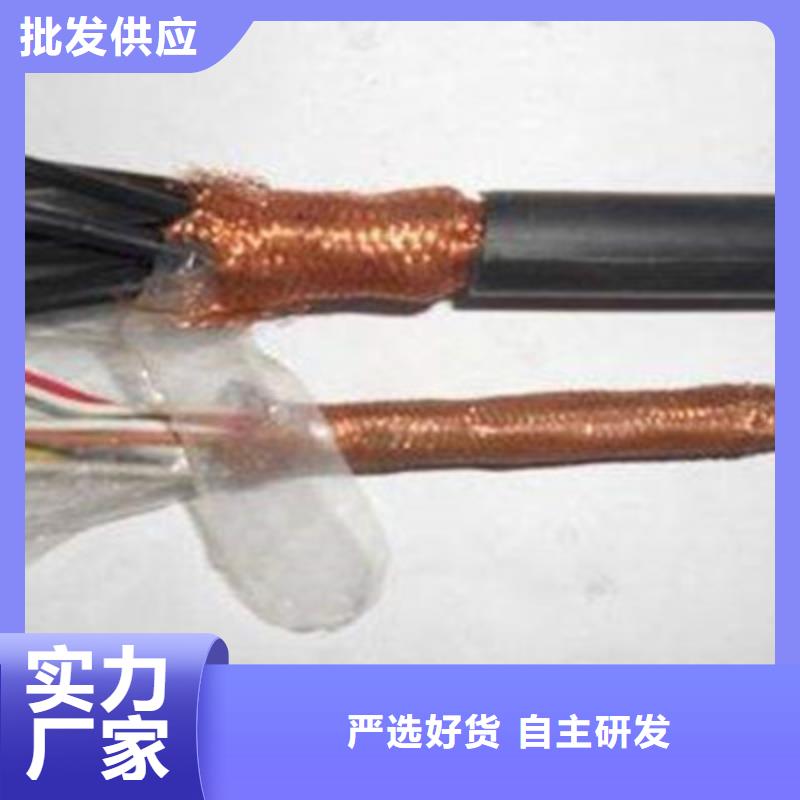 耐火计算机电缆NH-JYPVRP应用广泛加工定制