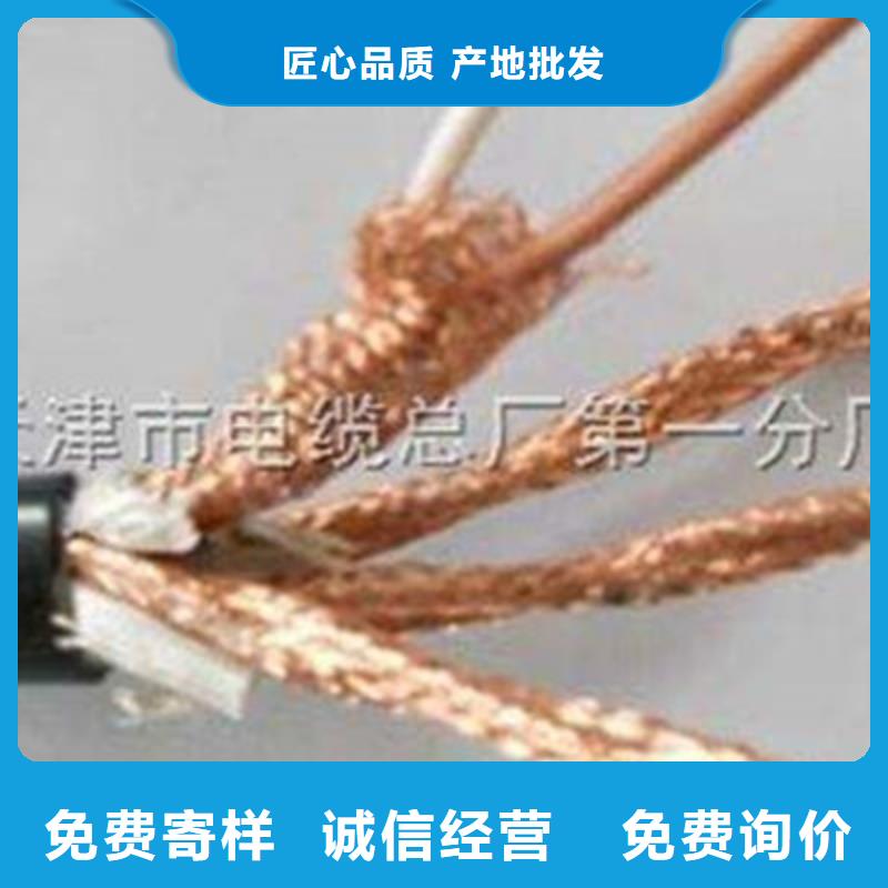 耐火计算机电缆NH-DJYJVP22专业供货商当地品牌