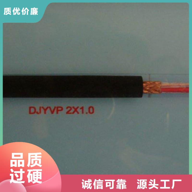 WDZ-DJYP2VR低烟无卤计算机电缆1X2X1.5实体诚信厂家