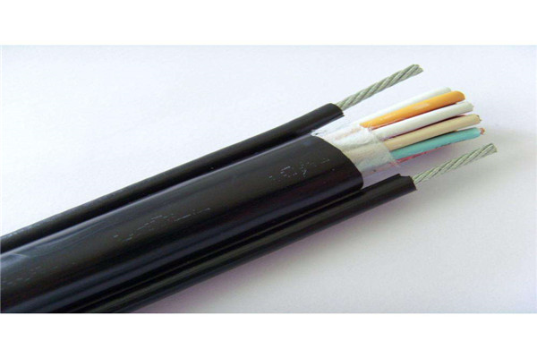 可定制的耐火型电缆NH-BAVP3VP3生产厂家大品牌值得信赖