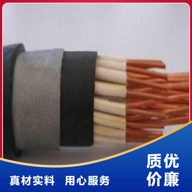 控制电缆电缆生产厂家N年生产经验追求细节品质