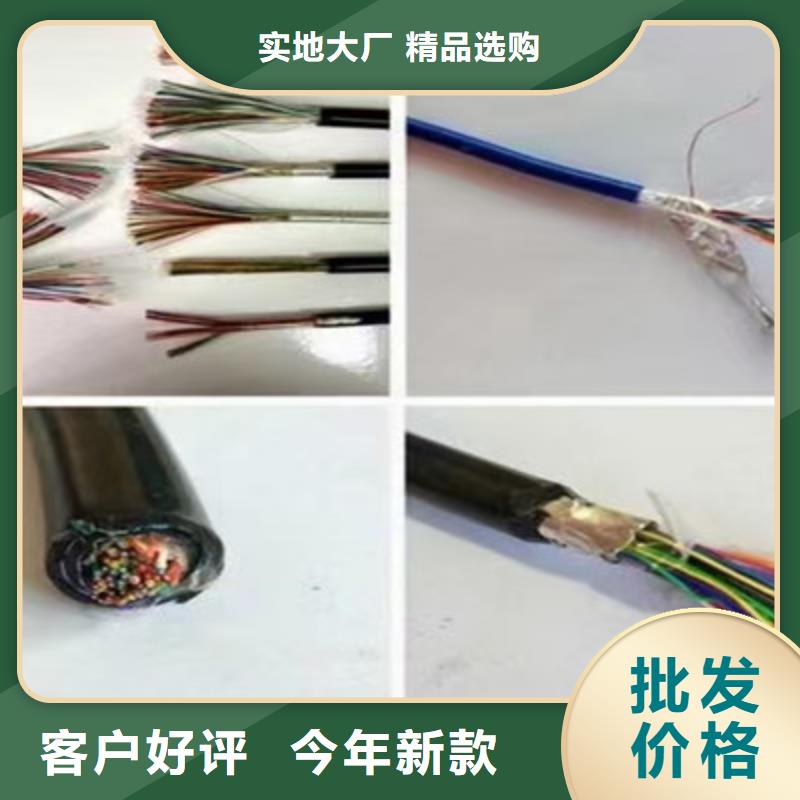 【耐高温电缆】电缆生产厂家服务始终如一为品质而生产