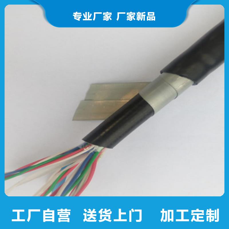 PTYAH23铁路信号电缆4X2优质原料