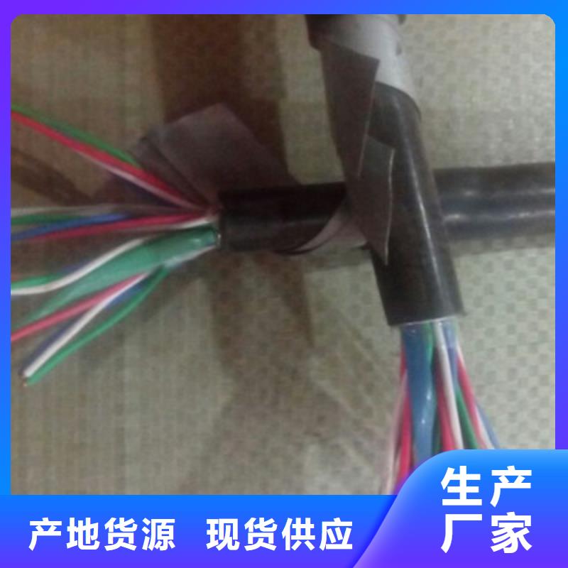WDZ-铁路电缆PTYV28芯厂家现货供应